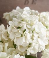 Large faux hydrangea bouquet in glass vase - SOLD