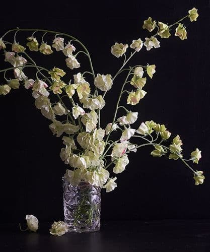 Lime Sweet Pea bouquet