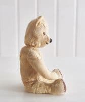 Little old ted