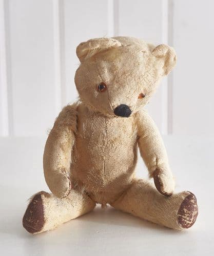 Little old ted