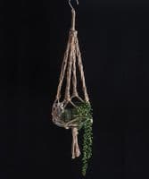 Macrame hanging vases