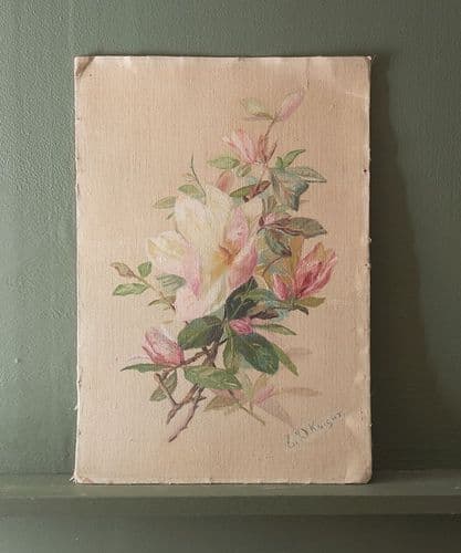 Magnolia study - canvas on board - SOLD