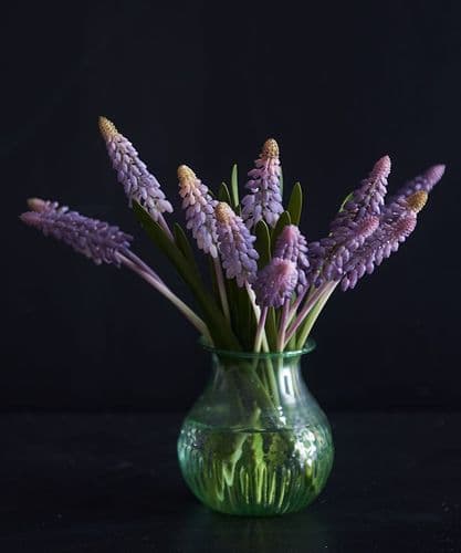 Muscari posy