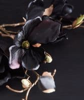Pair of black magnolia stems - SOLD