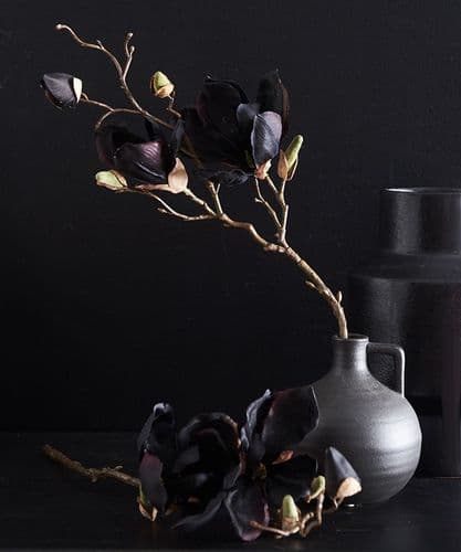 Pair of black magnolia stems - SOLD