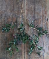 Pair of tall olive branches