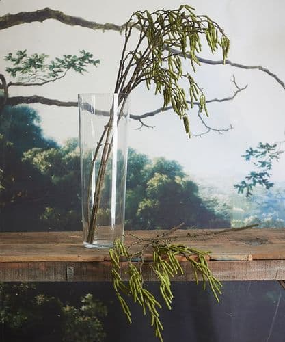 Pair of tall willow catkin stems
