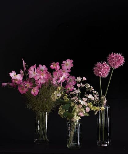 Perfect Pinks Collection - SOLD