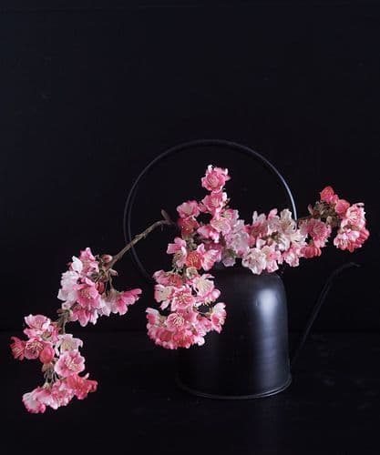 Pink cherry blossom stems - SOLD