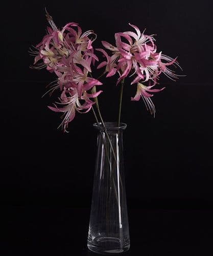 Pink Nerine Lilies - SOLD