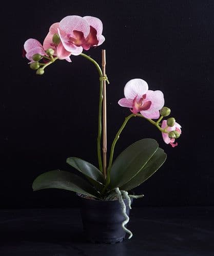 Potted faux orchid
