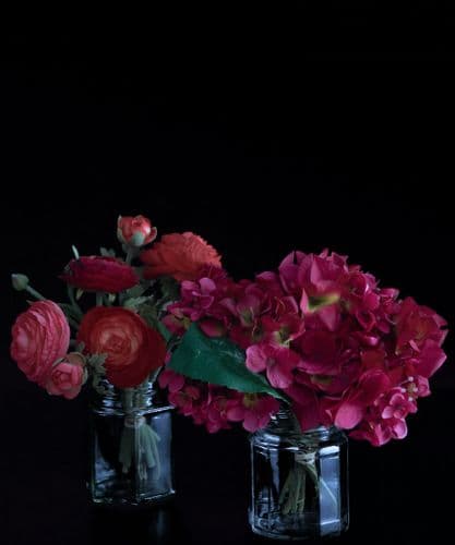 Ranunculas & Hydrangea Jamjar posies - SOLD