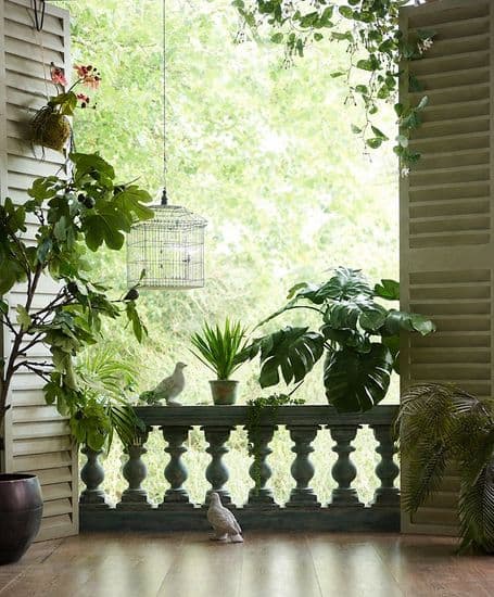ROOM 5: THE ORANGERIE