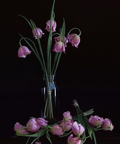 Secret Spring Fritillaria Posies