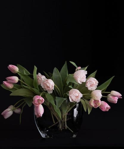 Tulips from Amsterdam (or Essex) - SOLD