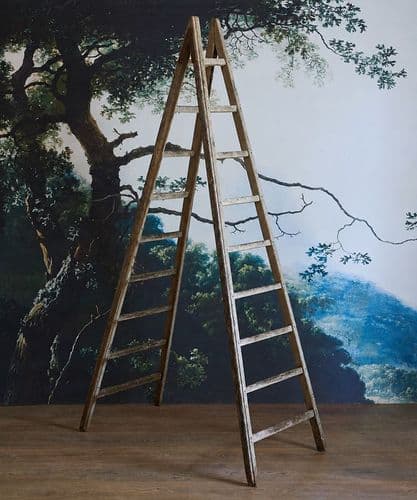 Vintage fruit-picking ladder