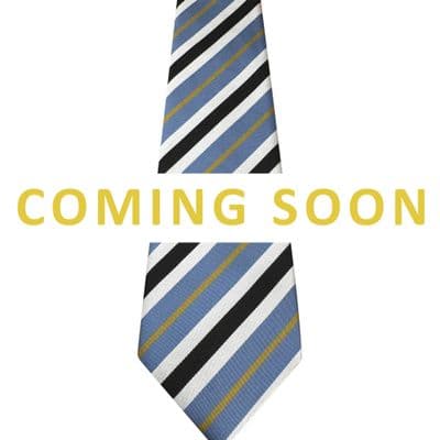 Castle Manor Chauntry Tie (Yellow)