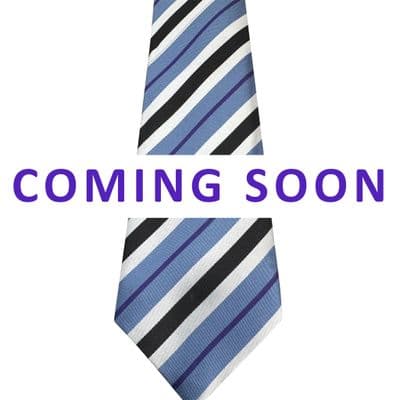 Castle Manor Cleves Tie (Purple)