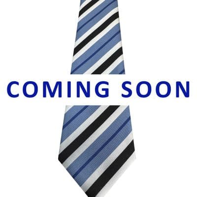 Castle Manor Hamlet Tie (Blue)