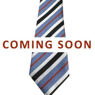 Castle Manor Helions Tie (Red)