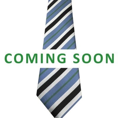 Castle Manor Wilsey Tie (Green)