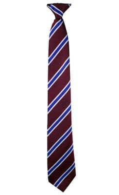 Colne Community School Year Group Tie