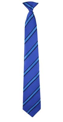 Harwich & Dovercourt H.S  Year Group Tie