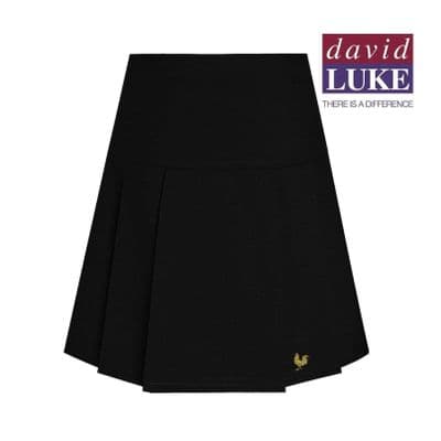 Honywood School Drop Waist Skirt
