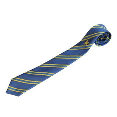 Honywood School  Tie KS3/KS4