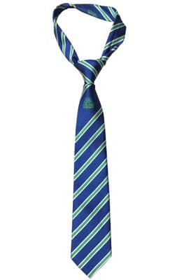 Hylands School Woven Motif Tie