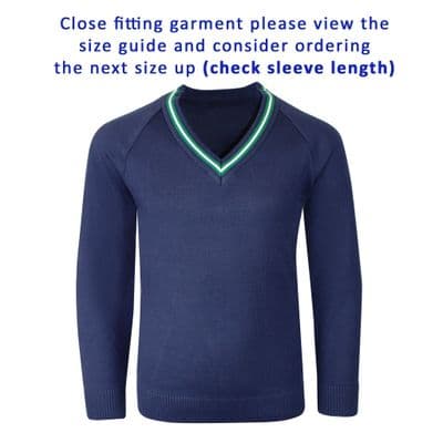 Hylands Unisex V-Neck Jumper