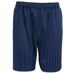 Navy Shadow Stripe Shorts