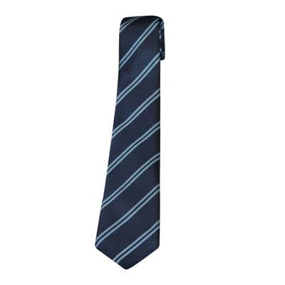 Newmarket Academy Tie