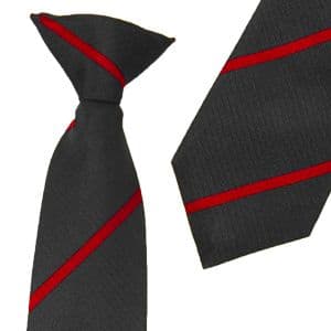 Ramsey Academy School Tie (Select Colour)
