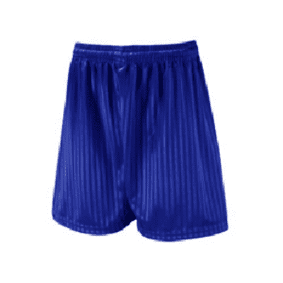 Royal Shadow Stripe Shorts