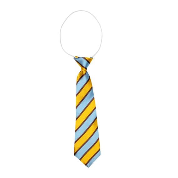St Clare's School Elastic Tie