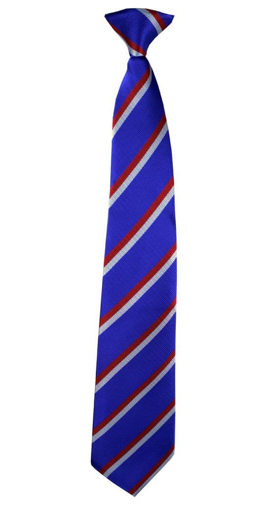 The Wilnecote School House Tie (Years 9 to 11 2026)