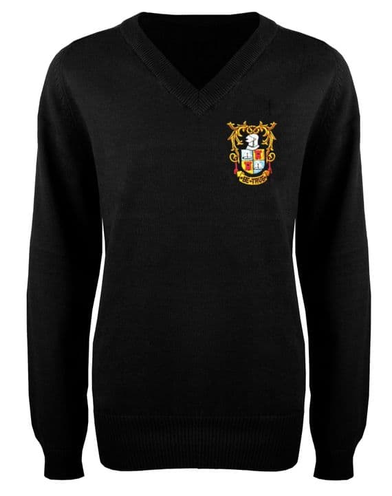The Wilnecote School  Unisex V-Neck Pullover