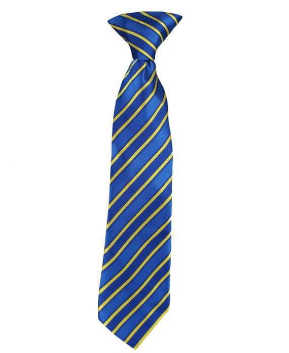 Thomas Gainsborough School Tie