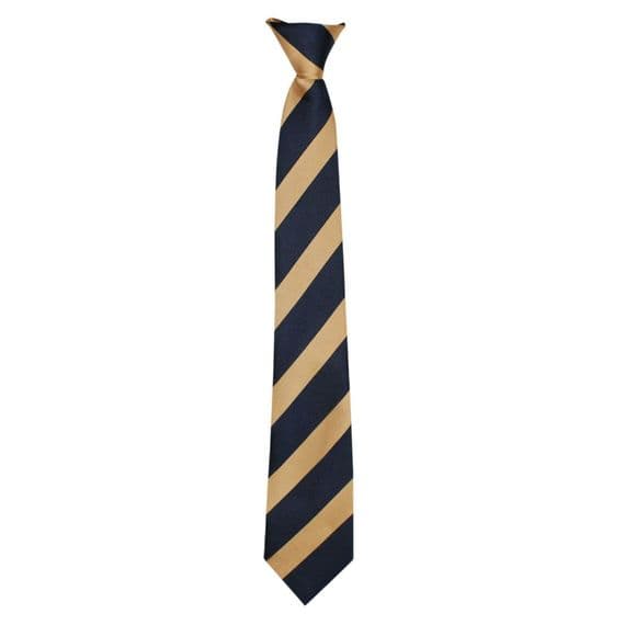 Wilnecote School Orange Year Tie (Year 7 Sept 26)