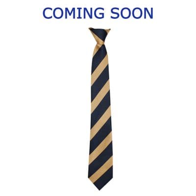 Wilnecote School Orange Year Tie (Year 7 Sept. 26)