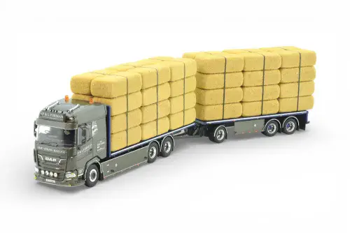 Tekno Daf XG P & L Forman