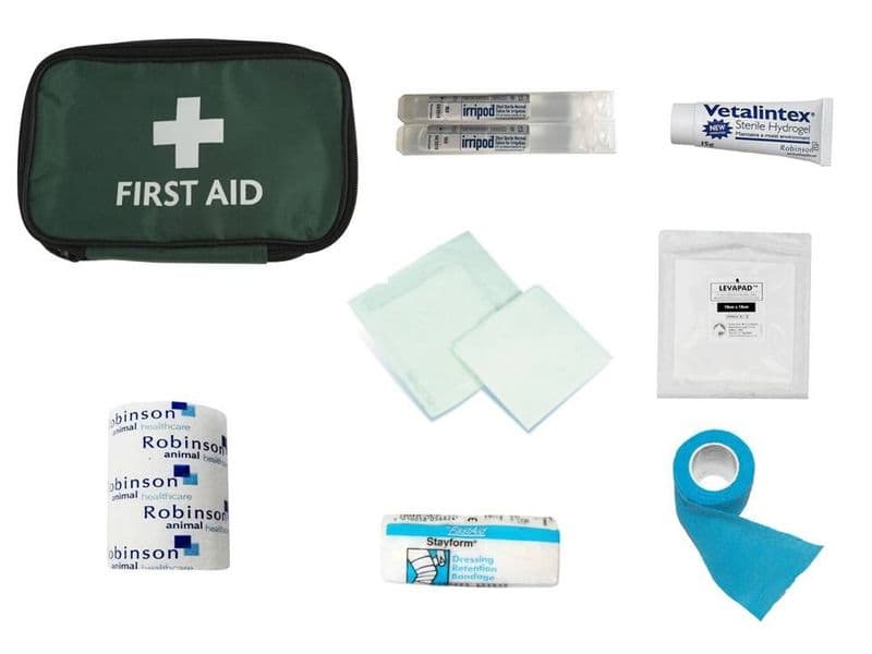 Basic Bumbag First Aid Kit