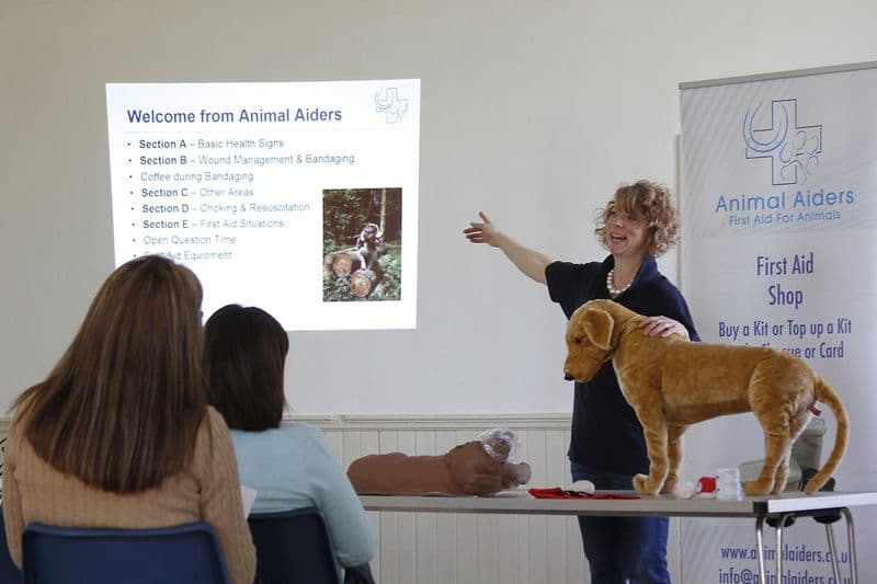 Petts Wood 31st January 2026 - Dog