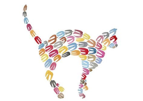 Humpy Cat Giclee Print