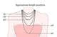 B100 ANTOMUS® 18K ROSE GOLD VERMEIL Solid 925 Silver Oval Link Belcher chain Made in England