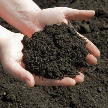 20l Pond Soil