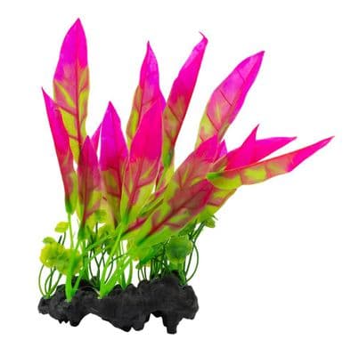 Aqua Spectra Sword Leaf on Log 'Bright Pink'