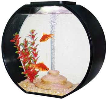 fish r fun accessories Funky Beadworx by Extol The box only 17cm x 10cm x 2.2cm Filtration Media Fish R Fun