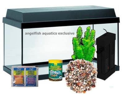 Axolotls, Newts & Frogs